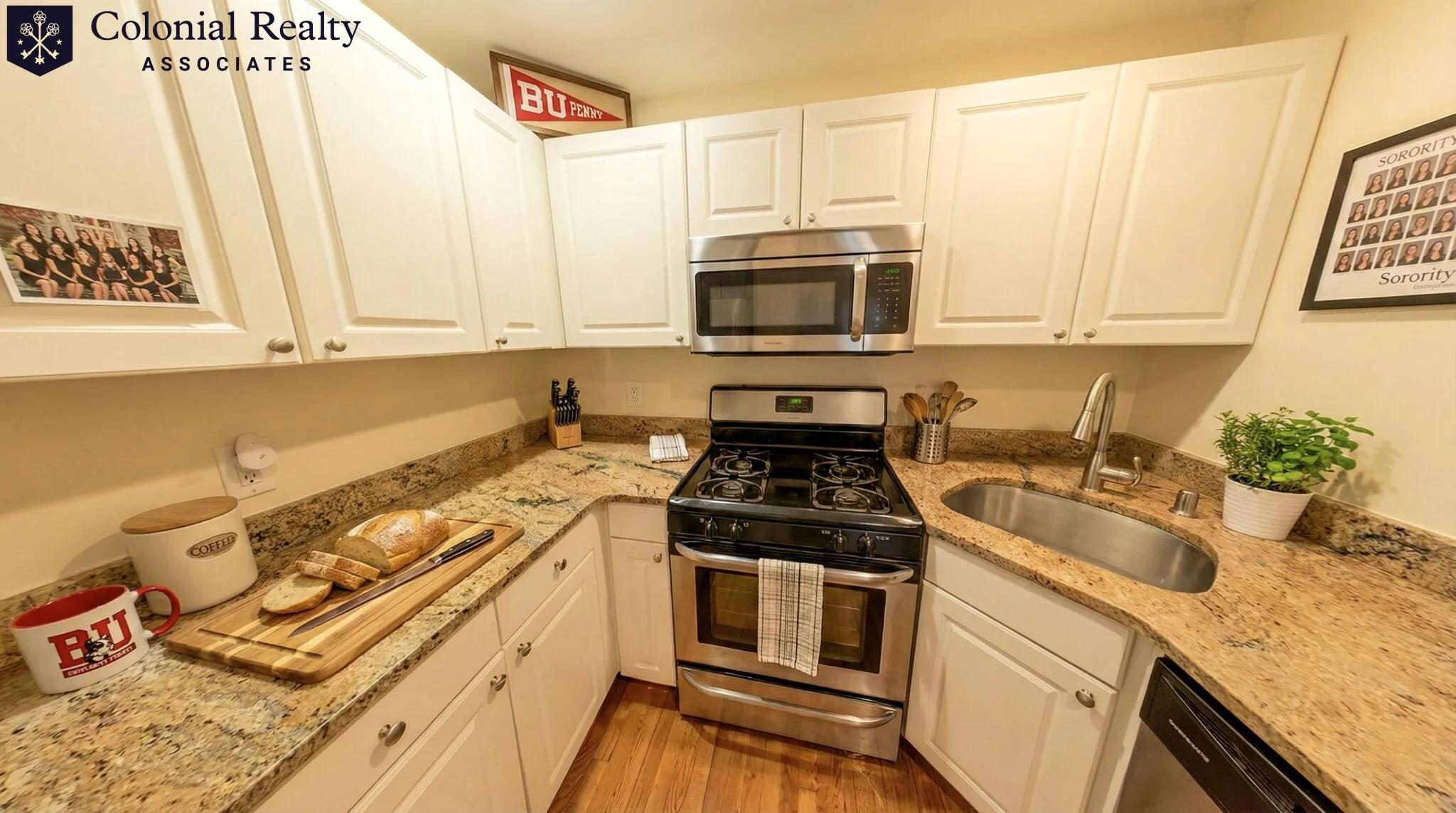 56 Egmont St, North Brookline