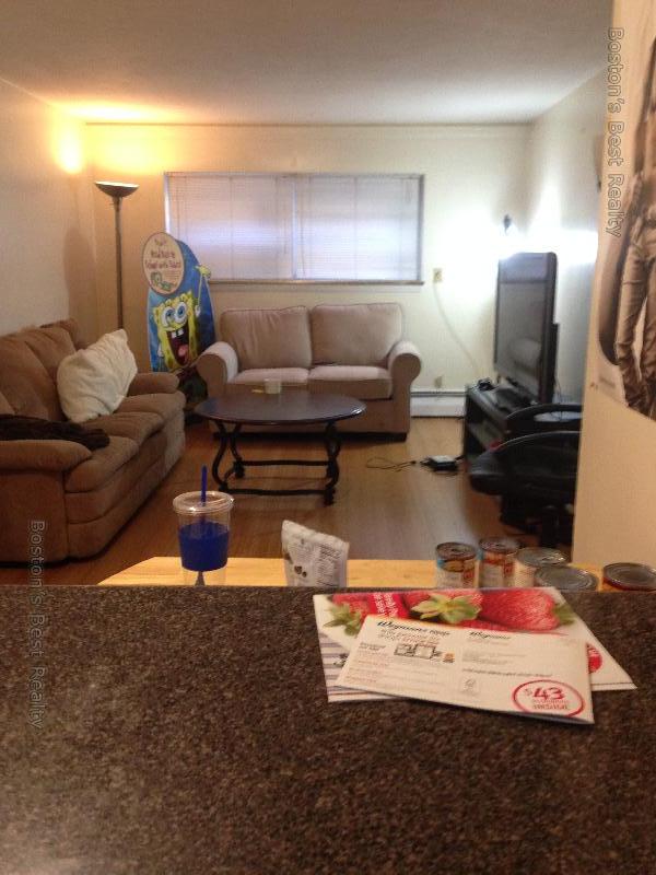 2 bed, 1 bath apartment for rent at 10 Commonwealth Ct Unit 4, Brighton — photo 4 of 4