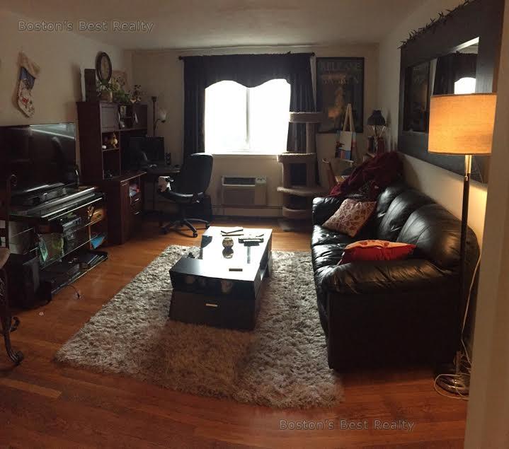 1 bed, 1 bath apartment for rent at 445 Washington St Unit 202, Brighton — photo 2 of 3
