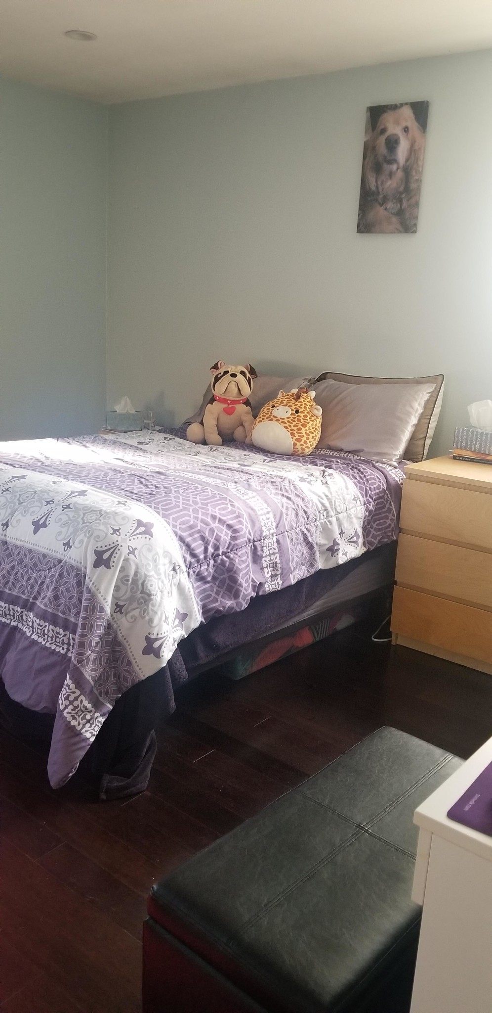 1 bed, 1 bath apartment for rent at 804 Centre St Unit 8, Jamaica Plain — photo 2 of 8