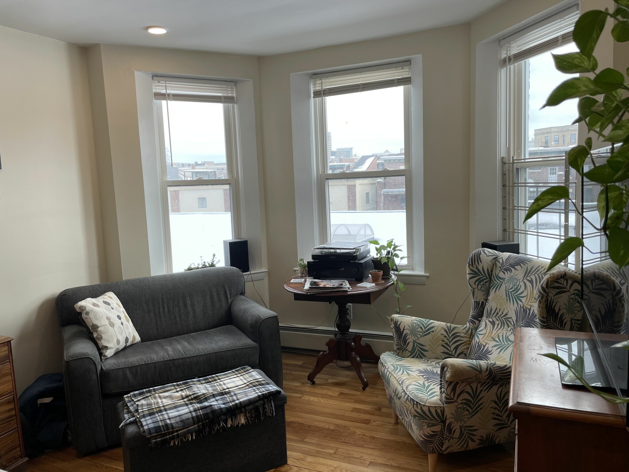 1 bed, 1 bath apartment for rent at 19 Chester St Unit 11, Allston — photo 3 of 4