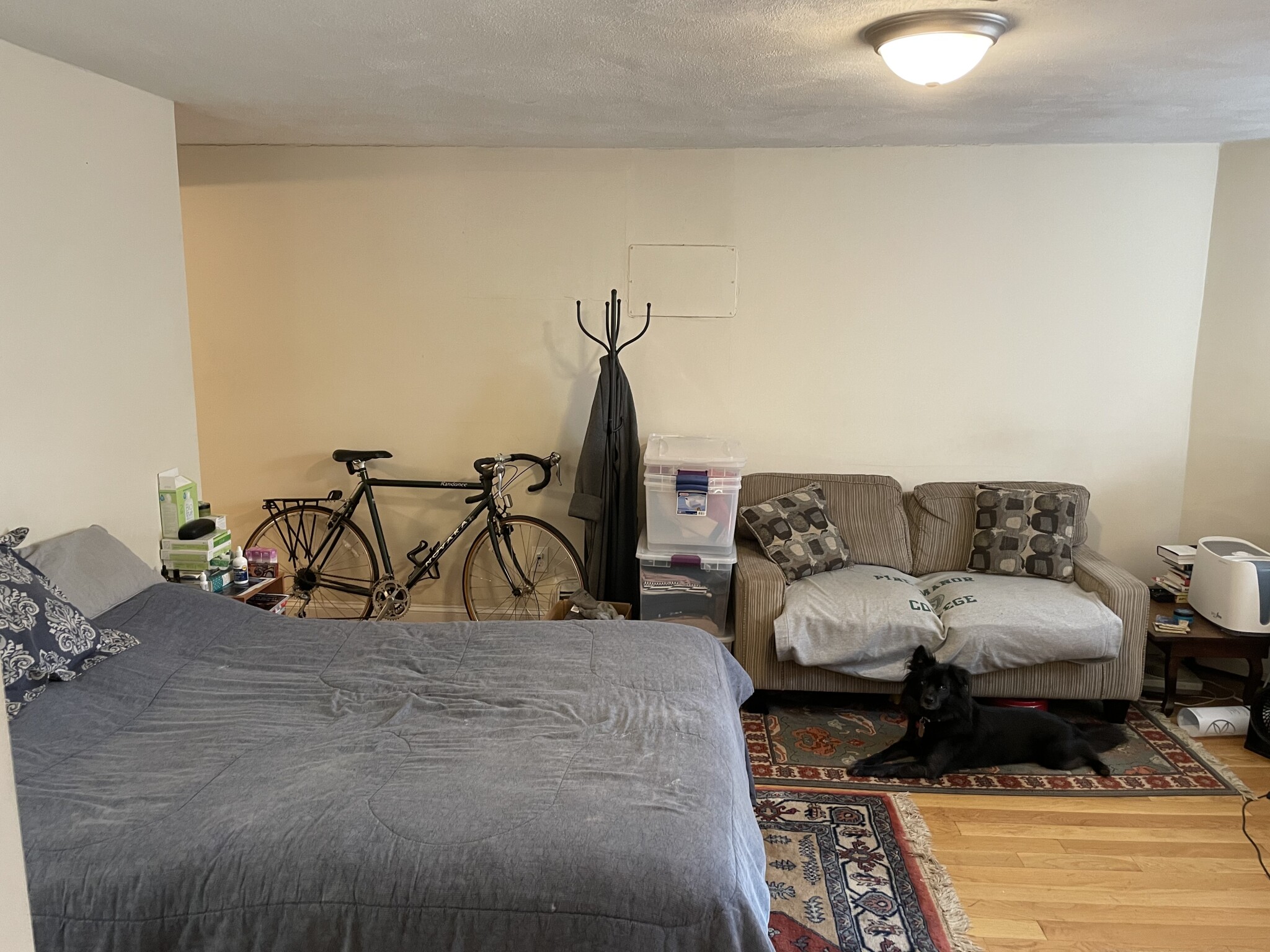 Studio bed, 1 bath apartment for rent at 134 Saint Marys St Unit 1, Fenway — photo 4 of 4