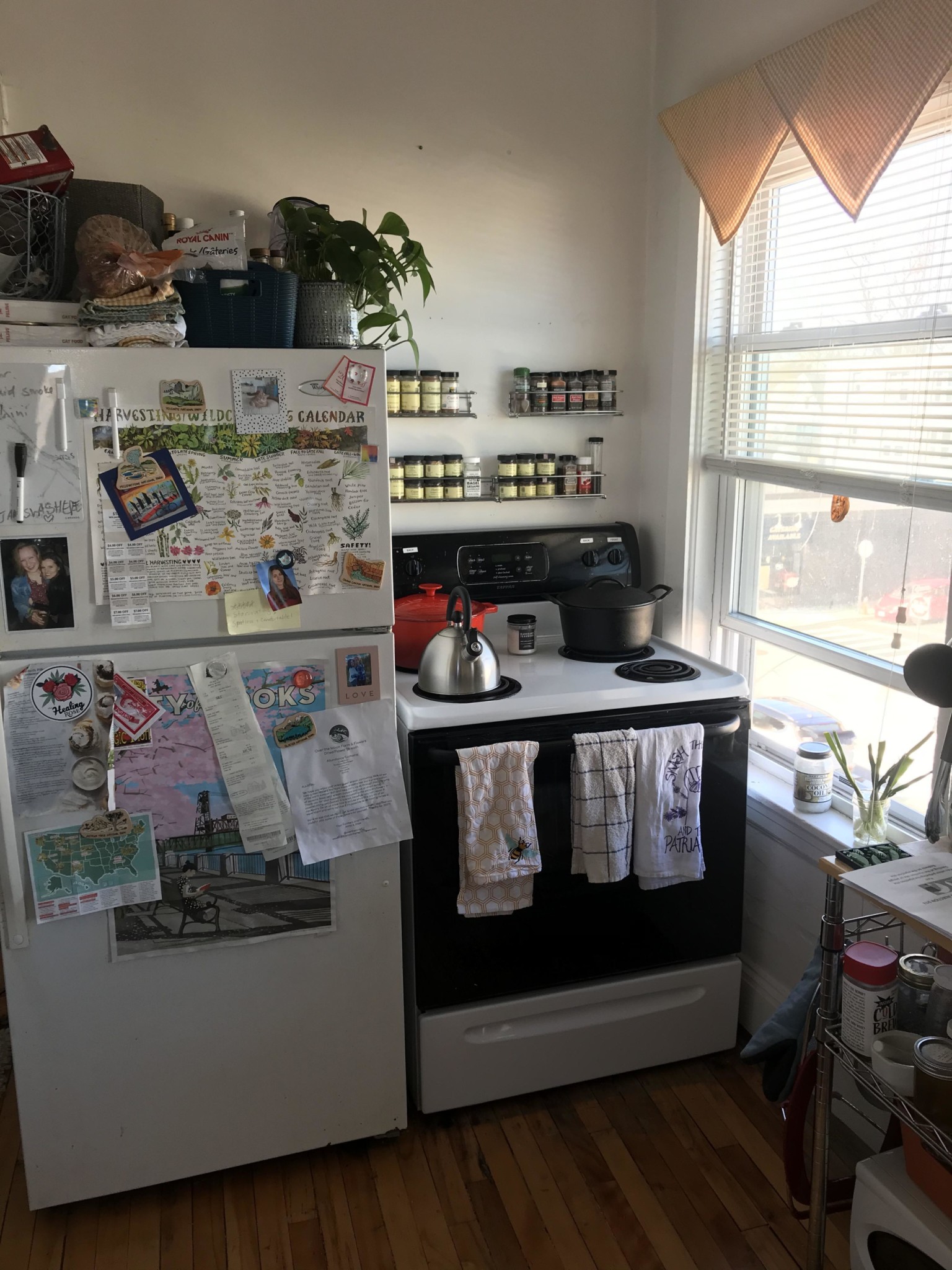 1 bed, 1 bath apartment for rent at 384 Washington St Unit 5, Brighton — photo 5 of 6