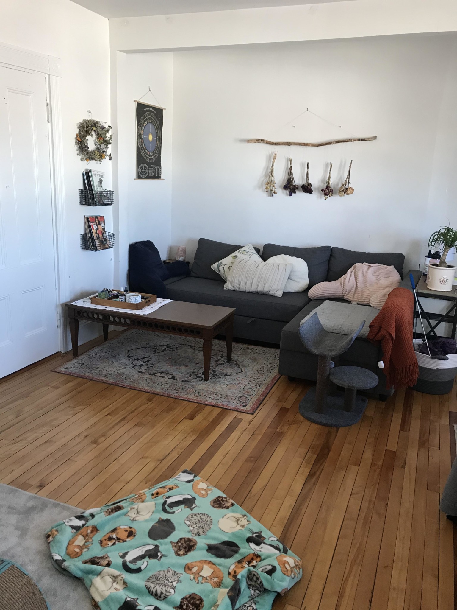 1 bed, 1 bath apartment for rent at 384 Washington St Unit 4, Brighton — photo 4 of 6
