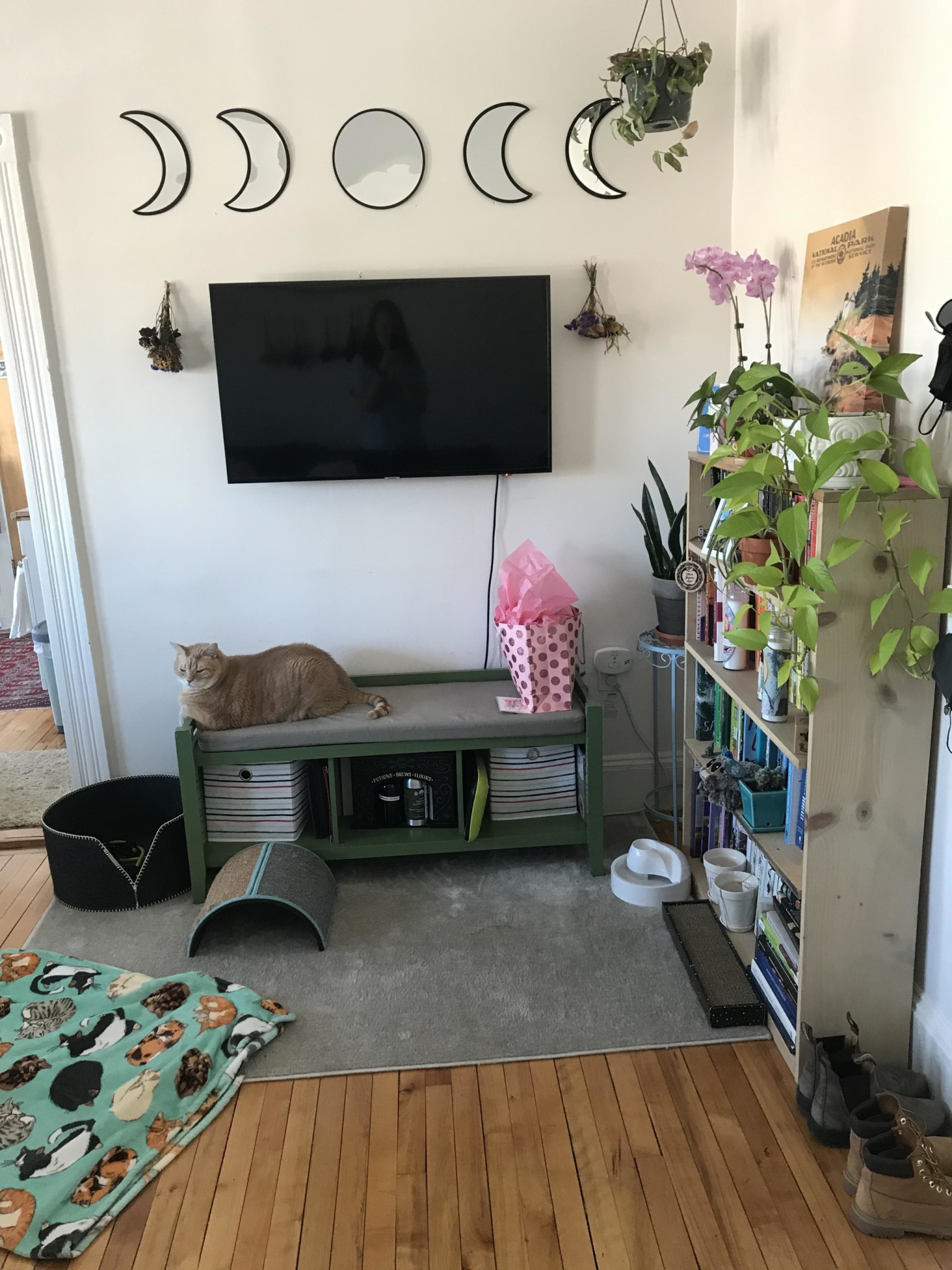 1 bed, 1 bath apartment for rent at 384 Washington St Unit 5, Brighton — photo 3 of 6