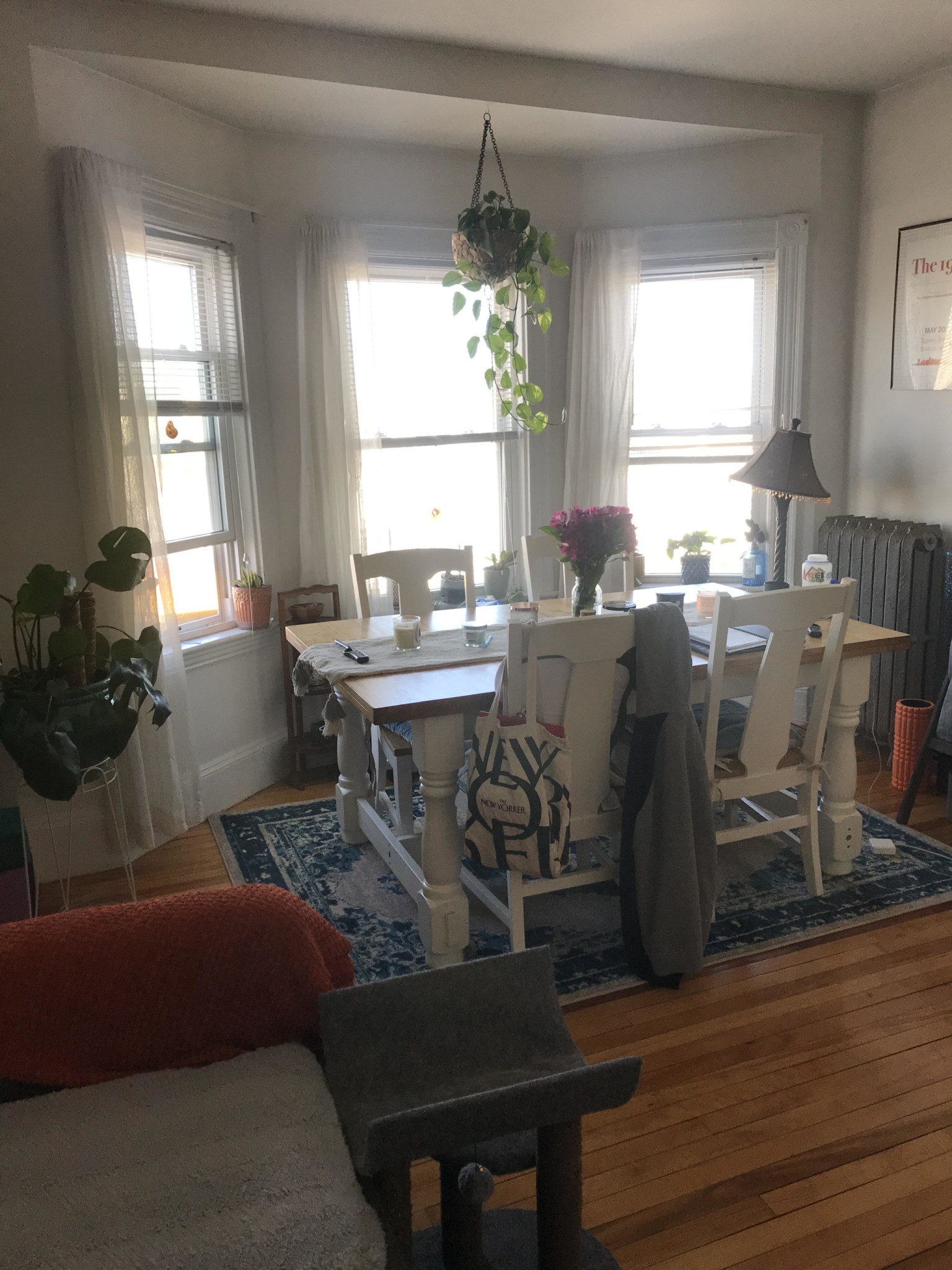 1 bed, 1 bath apartment for rent at 384 Washington St Unit 5, Brighton — photo 6 of 6