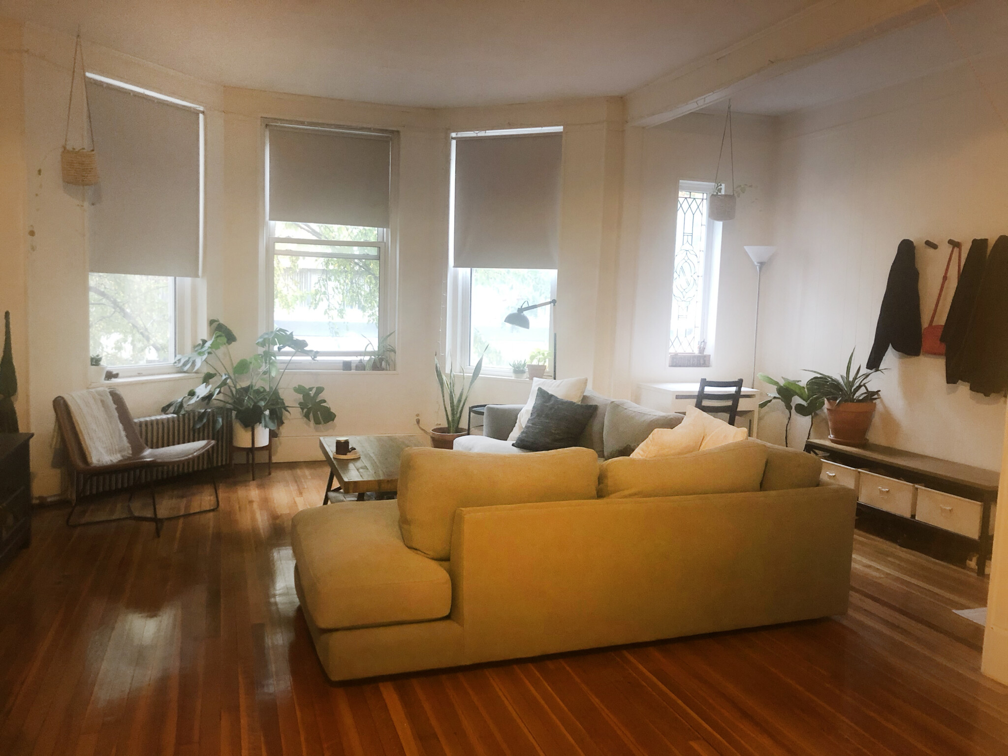 1 bed, 1 bath apartment for rent at 11 Englewood Ave Unit 4, Coolidge Corner — photo 3 of 7