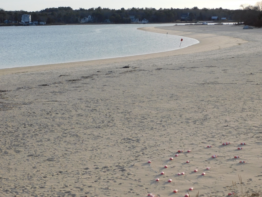 16 Thirteenth St, Wareham