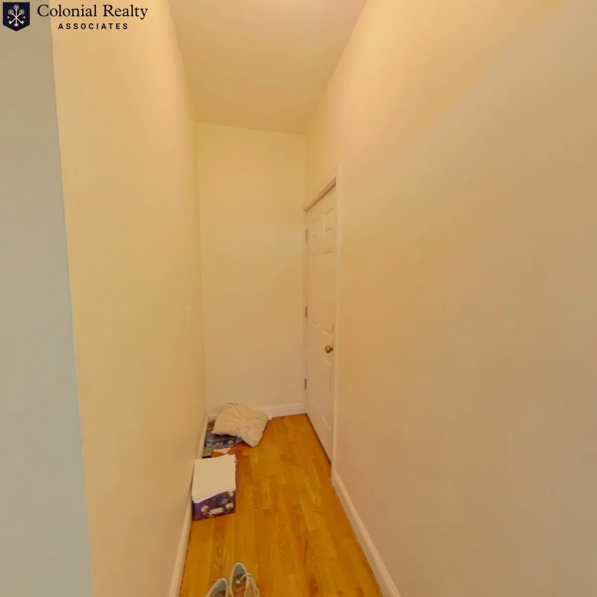 56 Egmont St, North Brookline