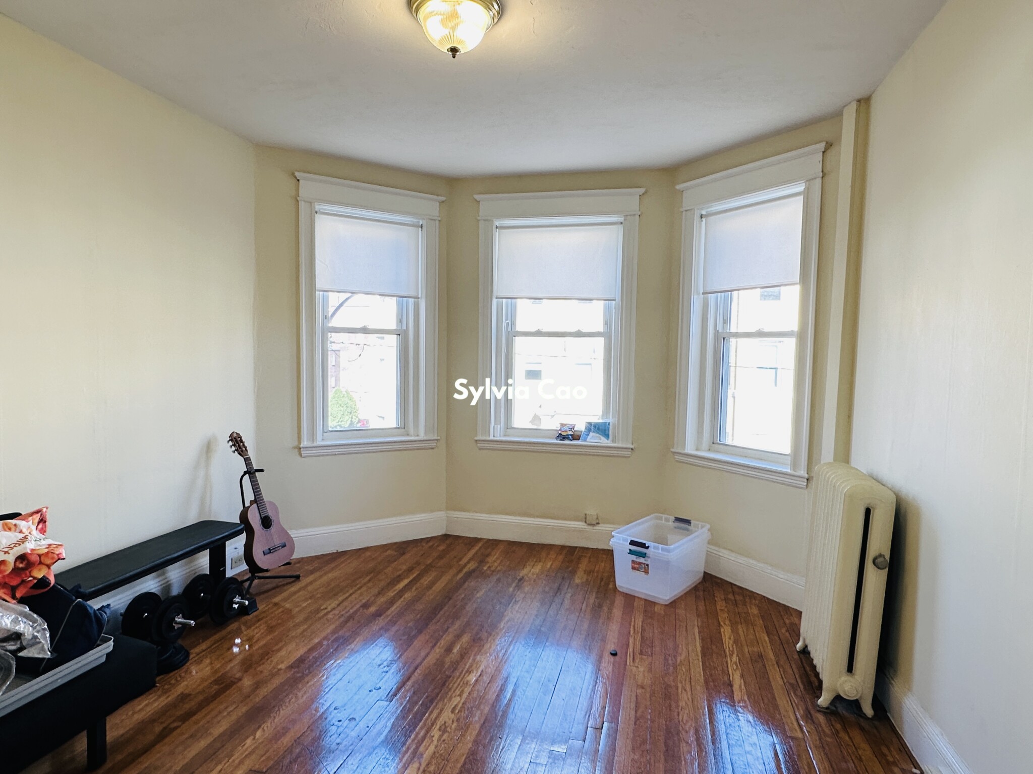 221 Kelton St, Brighton