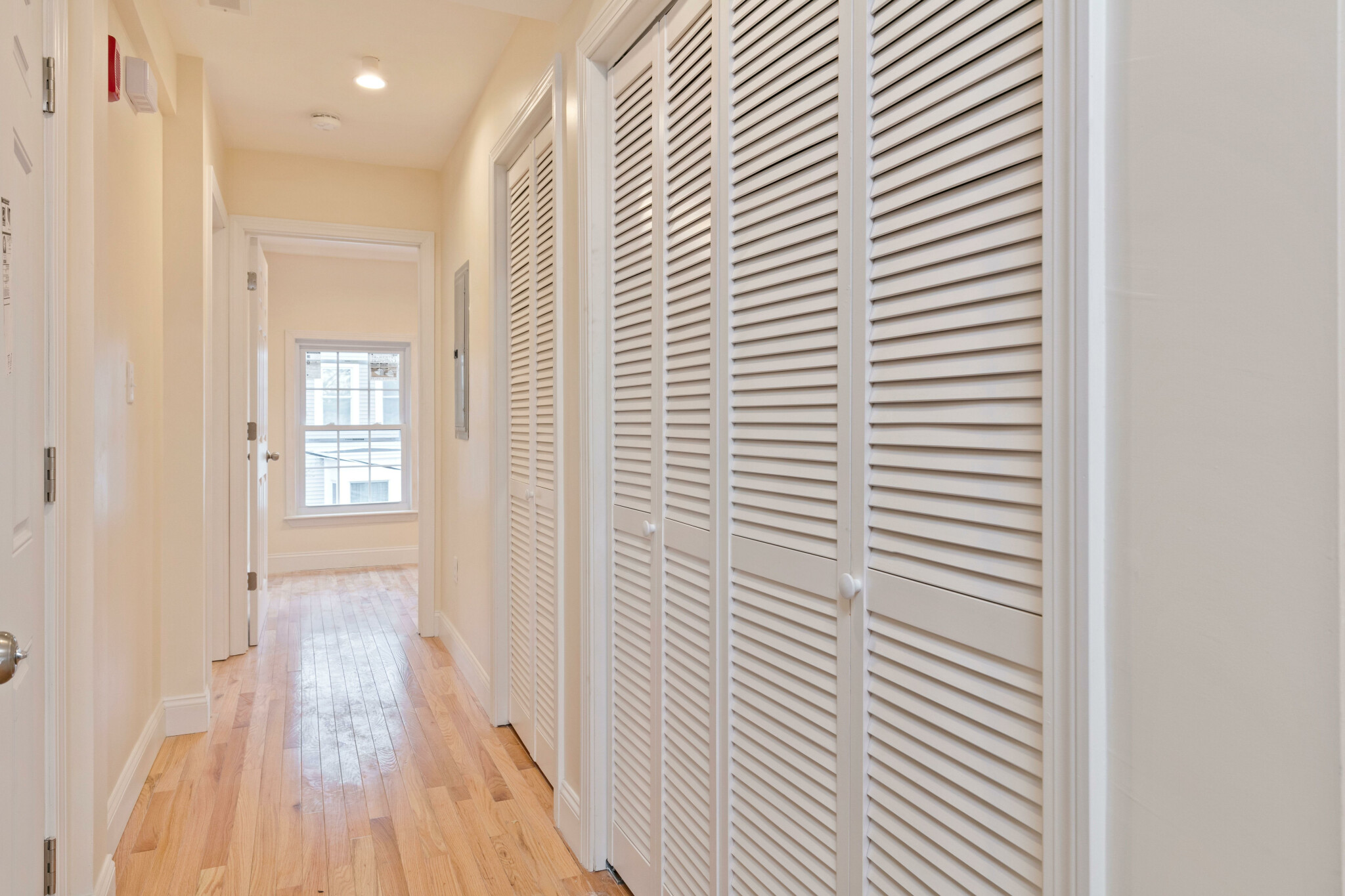 2 bed, 2 bath apartment for rent at 20 Princeton St Unit 2, East Boston — photo 3 of 6