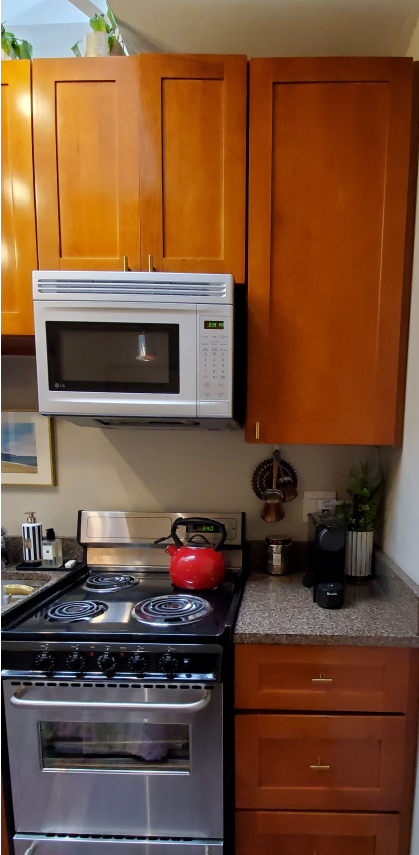 17 Garrison St, Back Bay