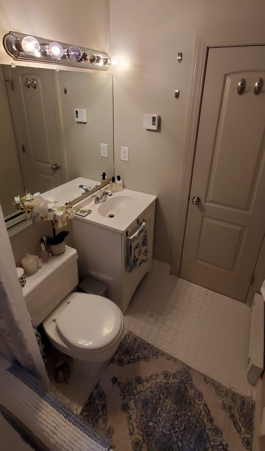 17 Garrison St, Back Bay