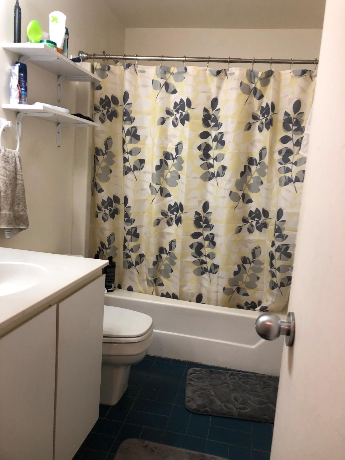 78 Gainsborough St, Fenway