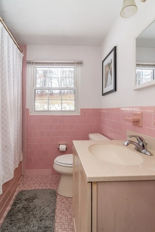 17 Francine Rd, Framingham