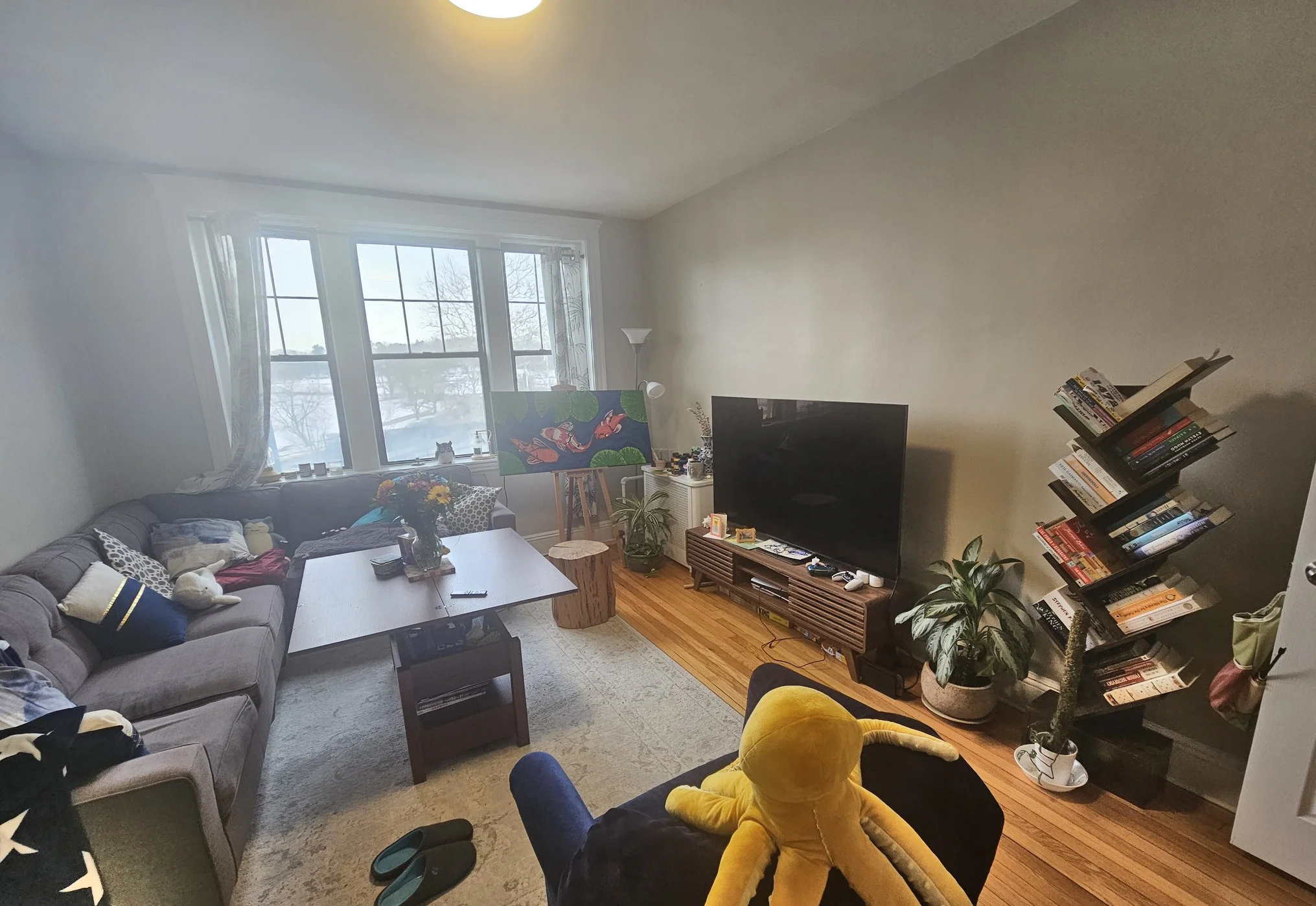 370 Chestnut Hill Ave, Brighton