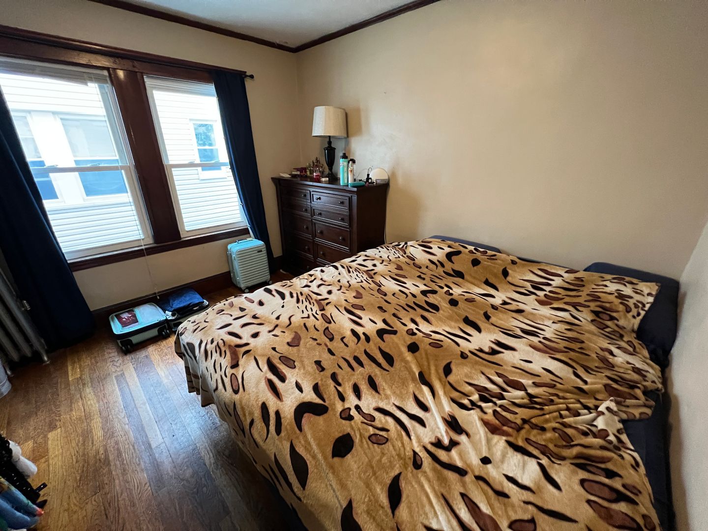 16 Silvey Pl, Spring Hill