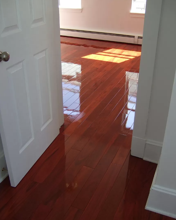 103 Sciarappa St, East Cambridge