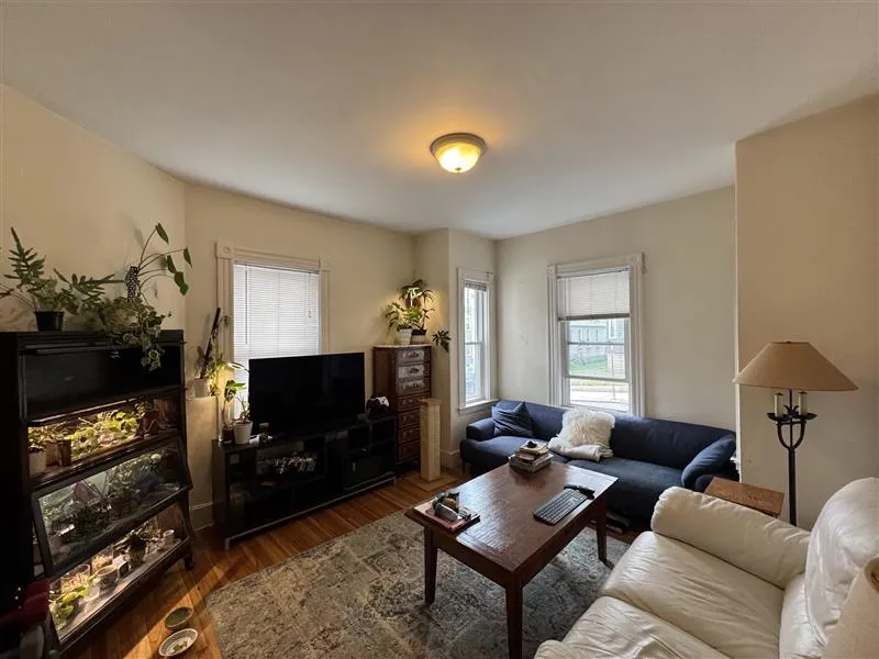 33 Belmont St, Spring Hill