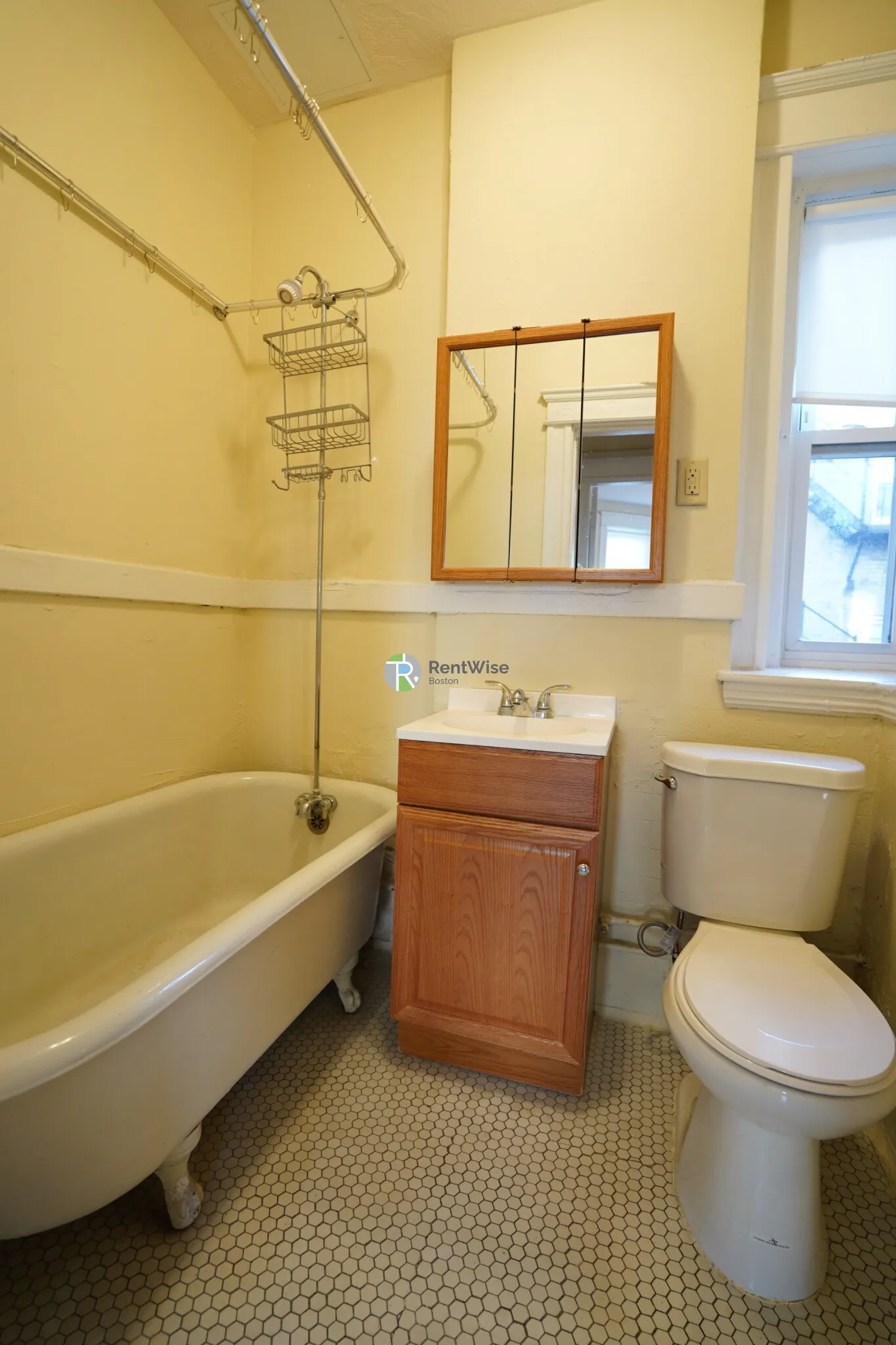 221 Kelton St, Brighton