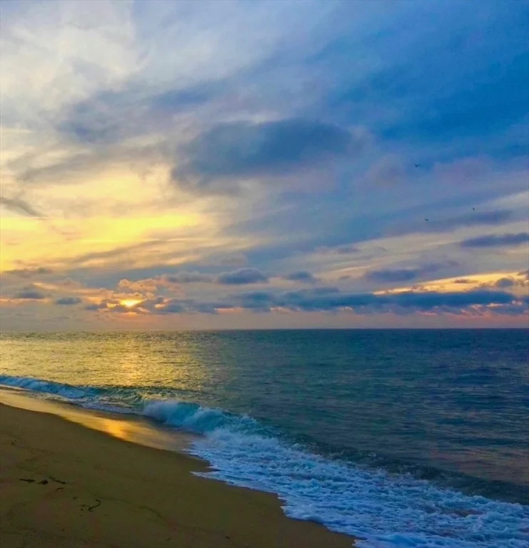 15 Myrtle Dr, South Chatham