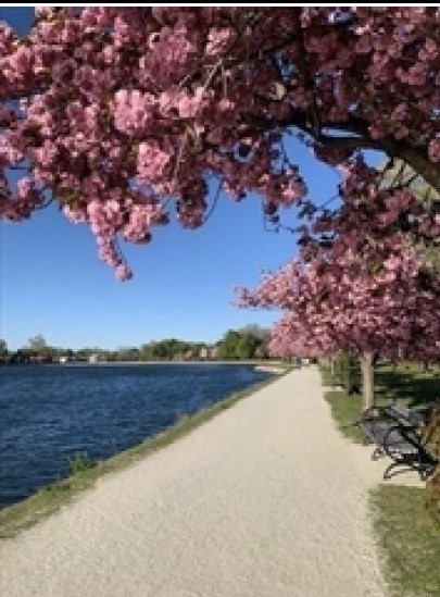 94 Dudley, Brookline