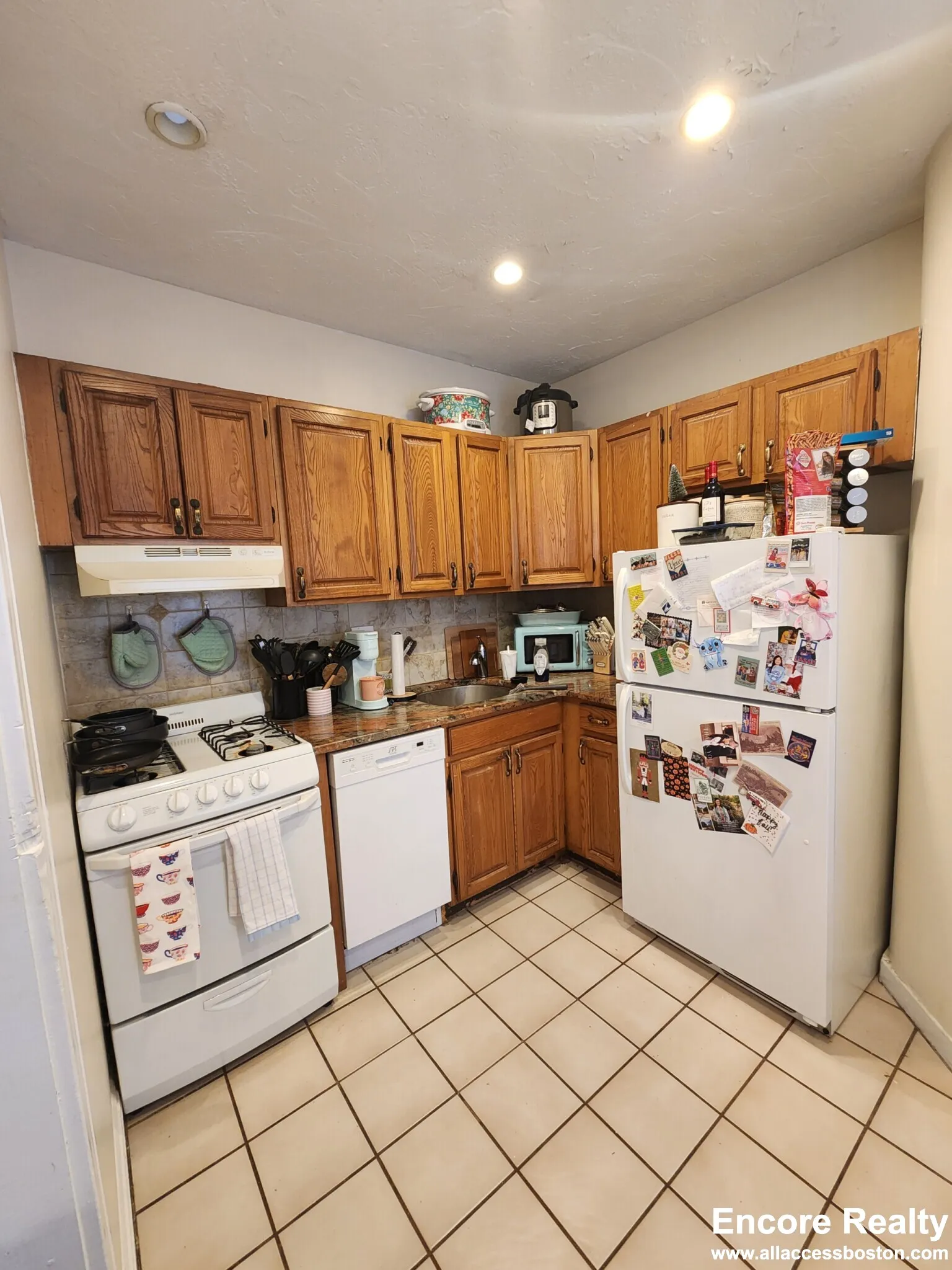 240 Kelton St, Brighton