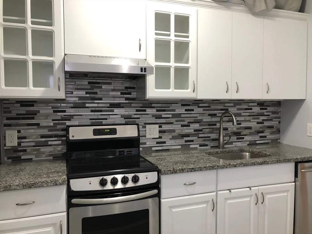 78 W Concord St, South End