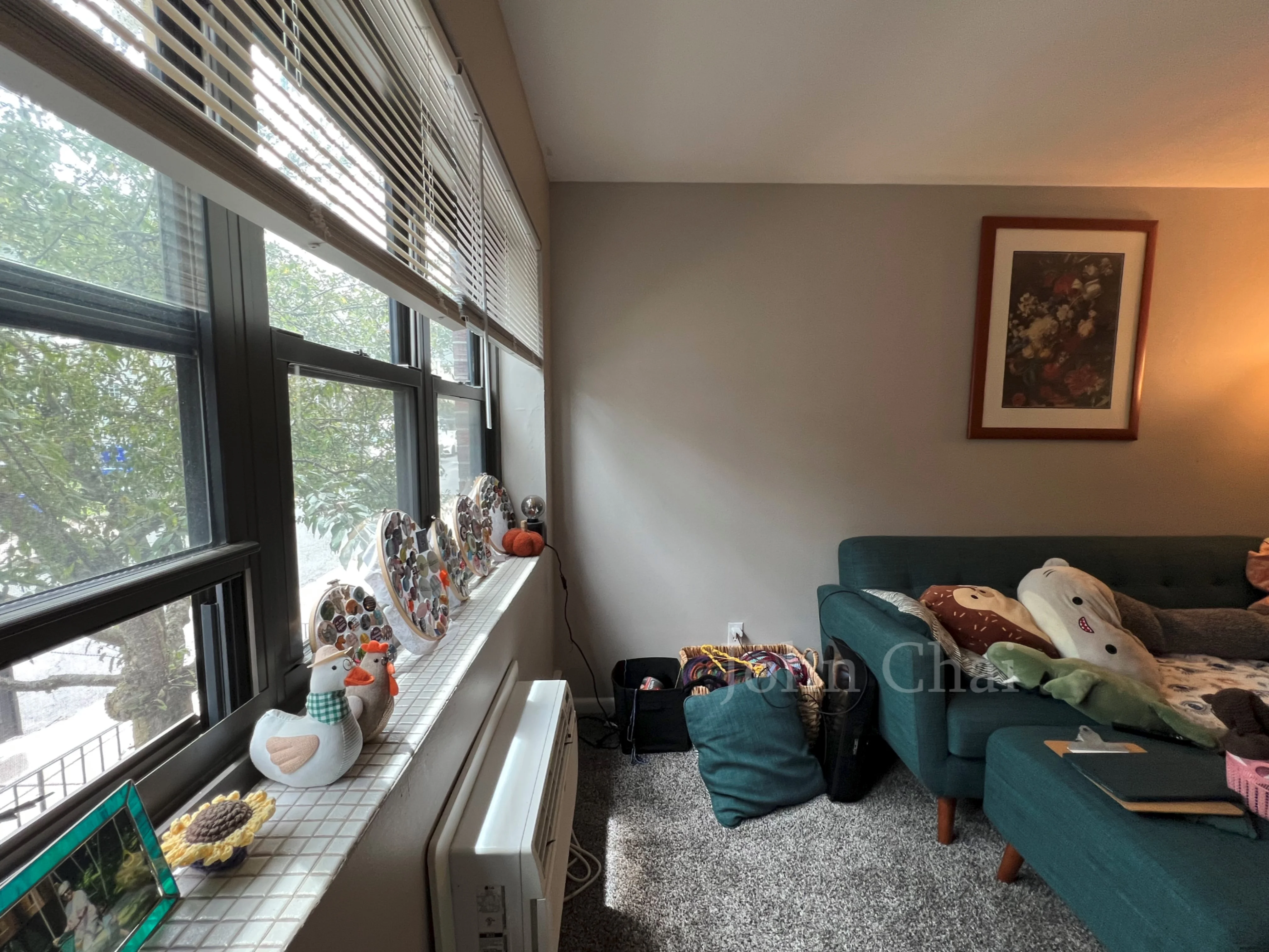 39 Shepard St, Brighton