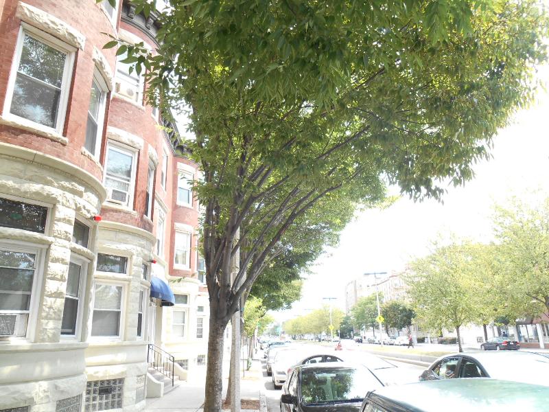 71 Brighton Ave, Allston