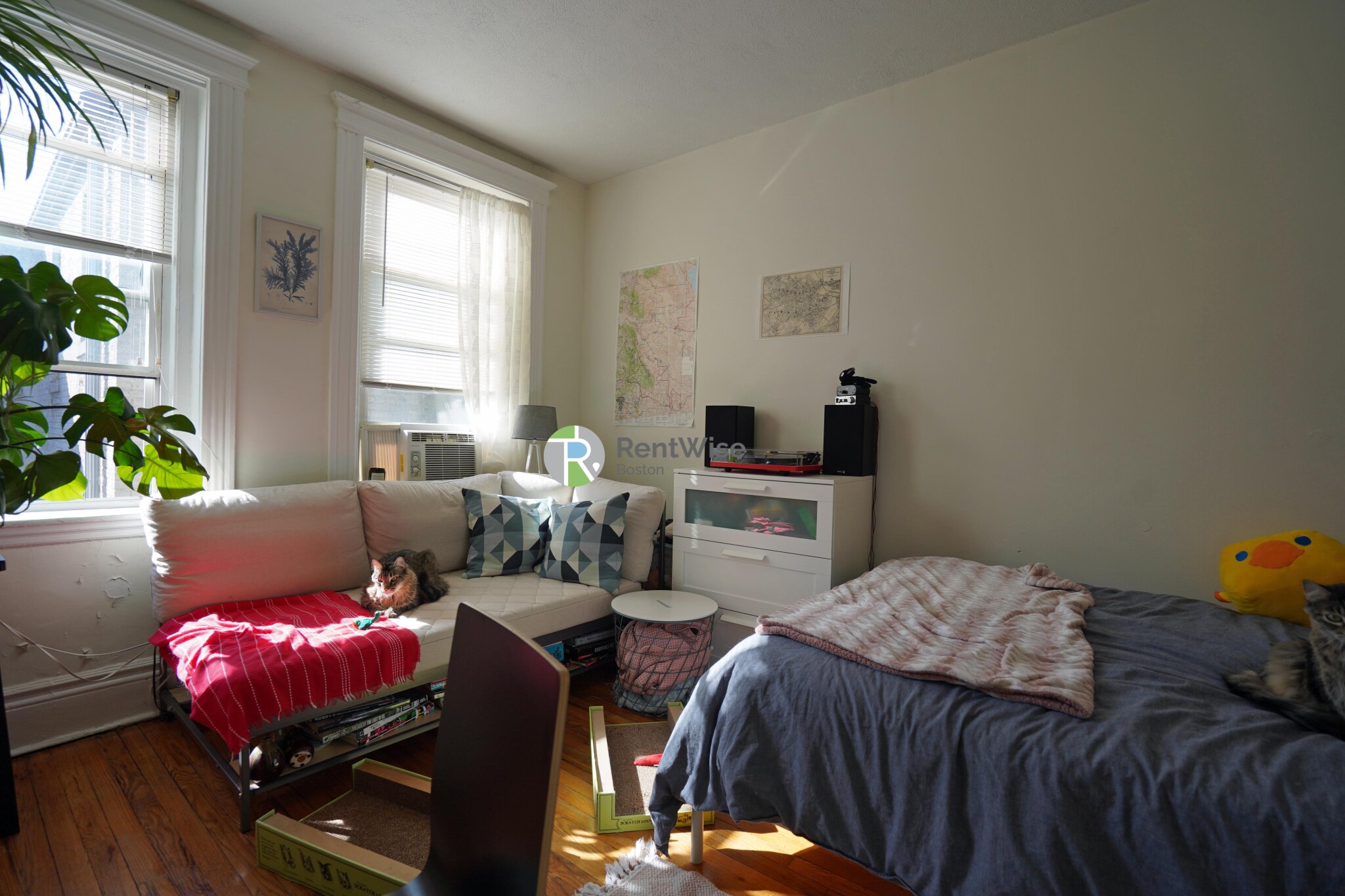 6 Camelot Ct, Brighton