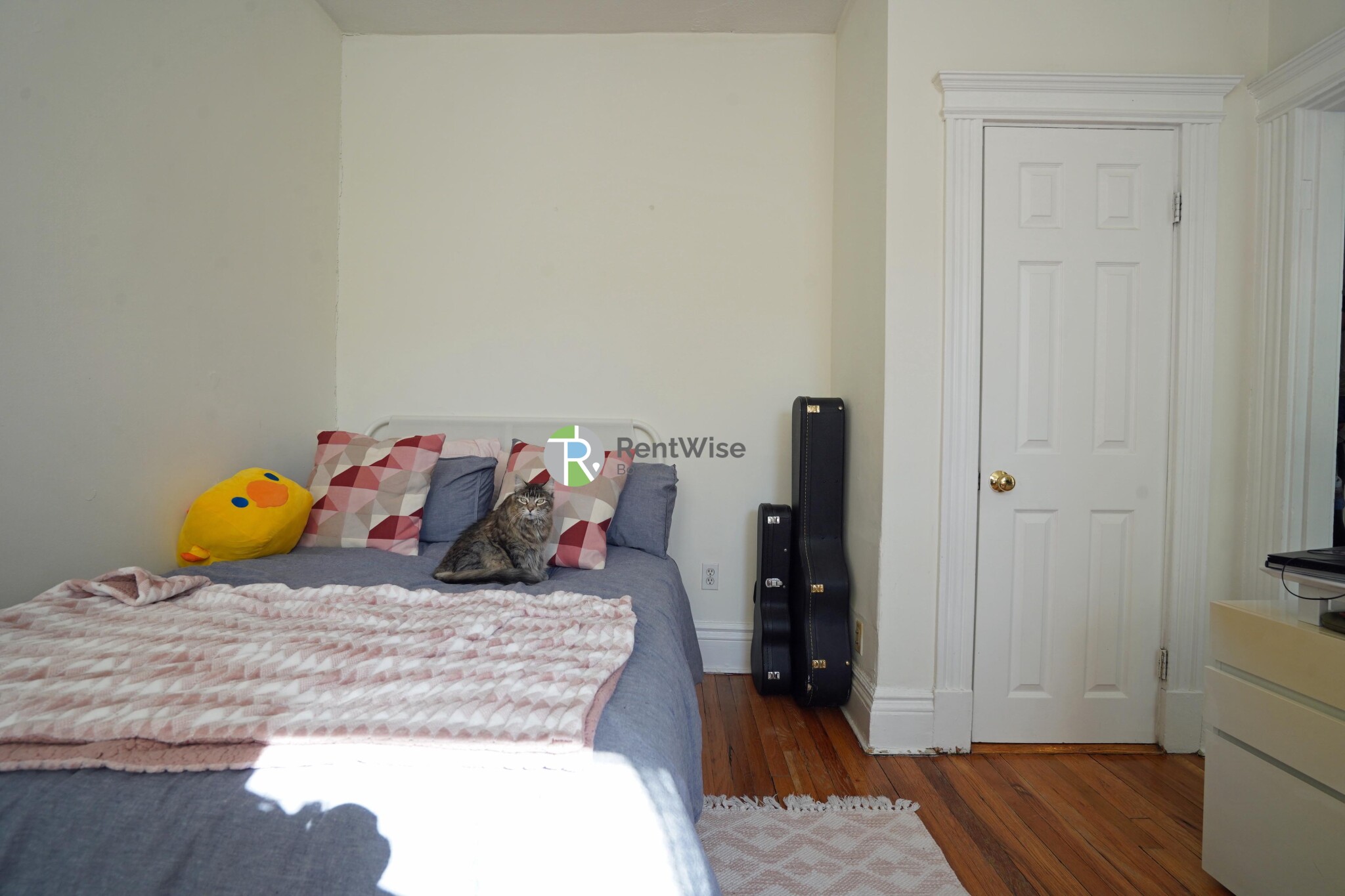 6 Camelot Ct, Brighton