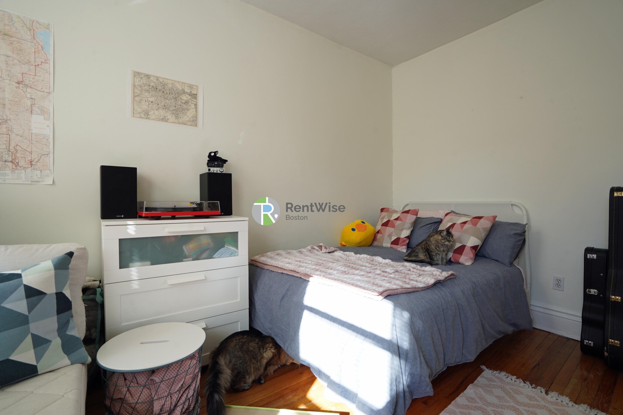 6 Camelot Ct, Brighton