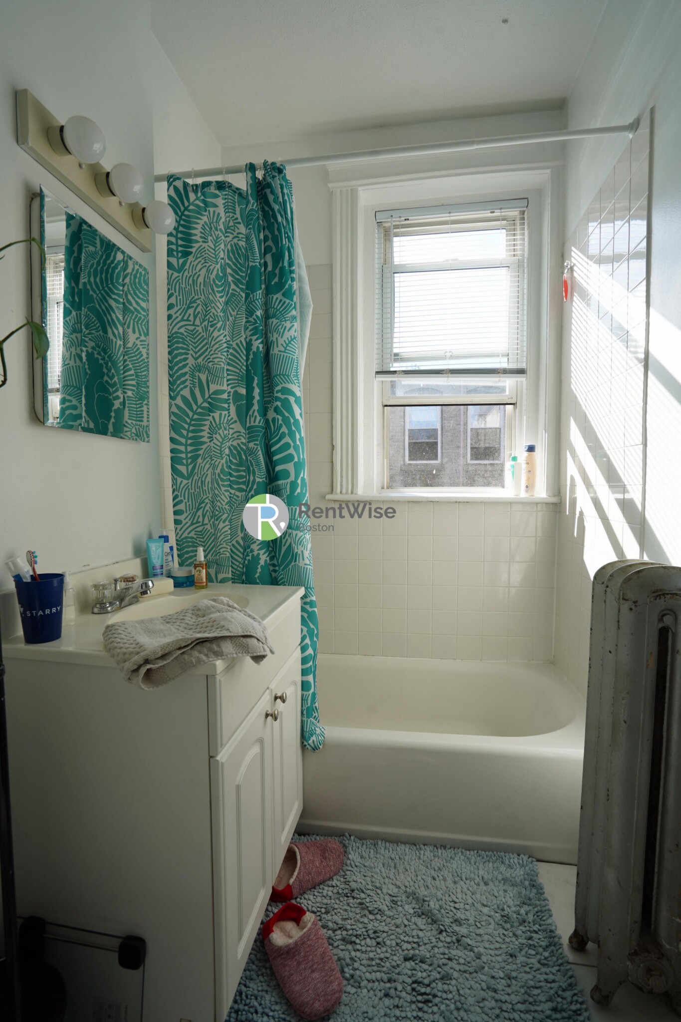 6 Camelot Ct, Brighton