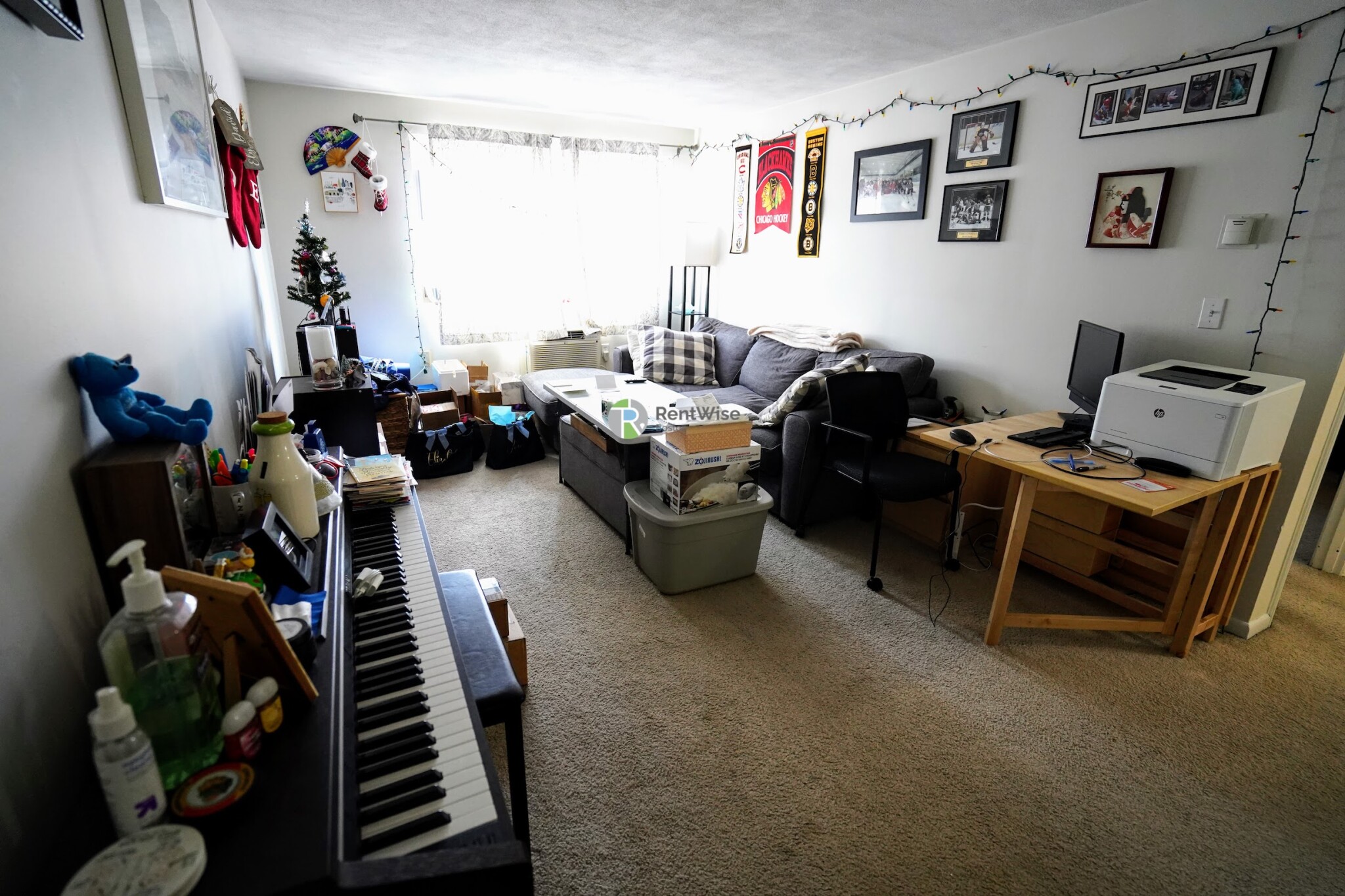 39 Shepard St, Brighton