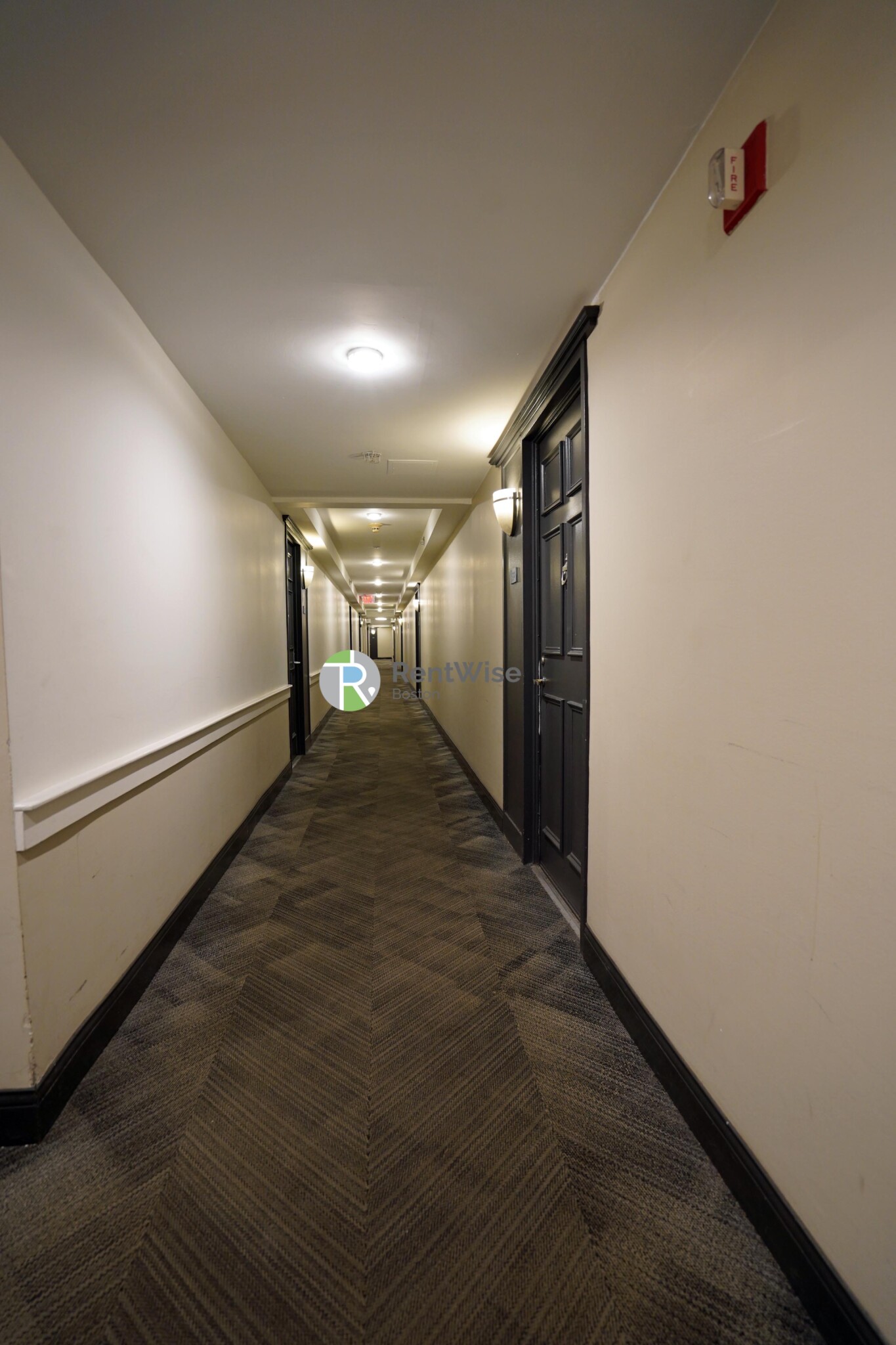 175 Freeman St, North Brookline