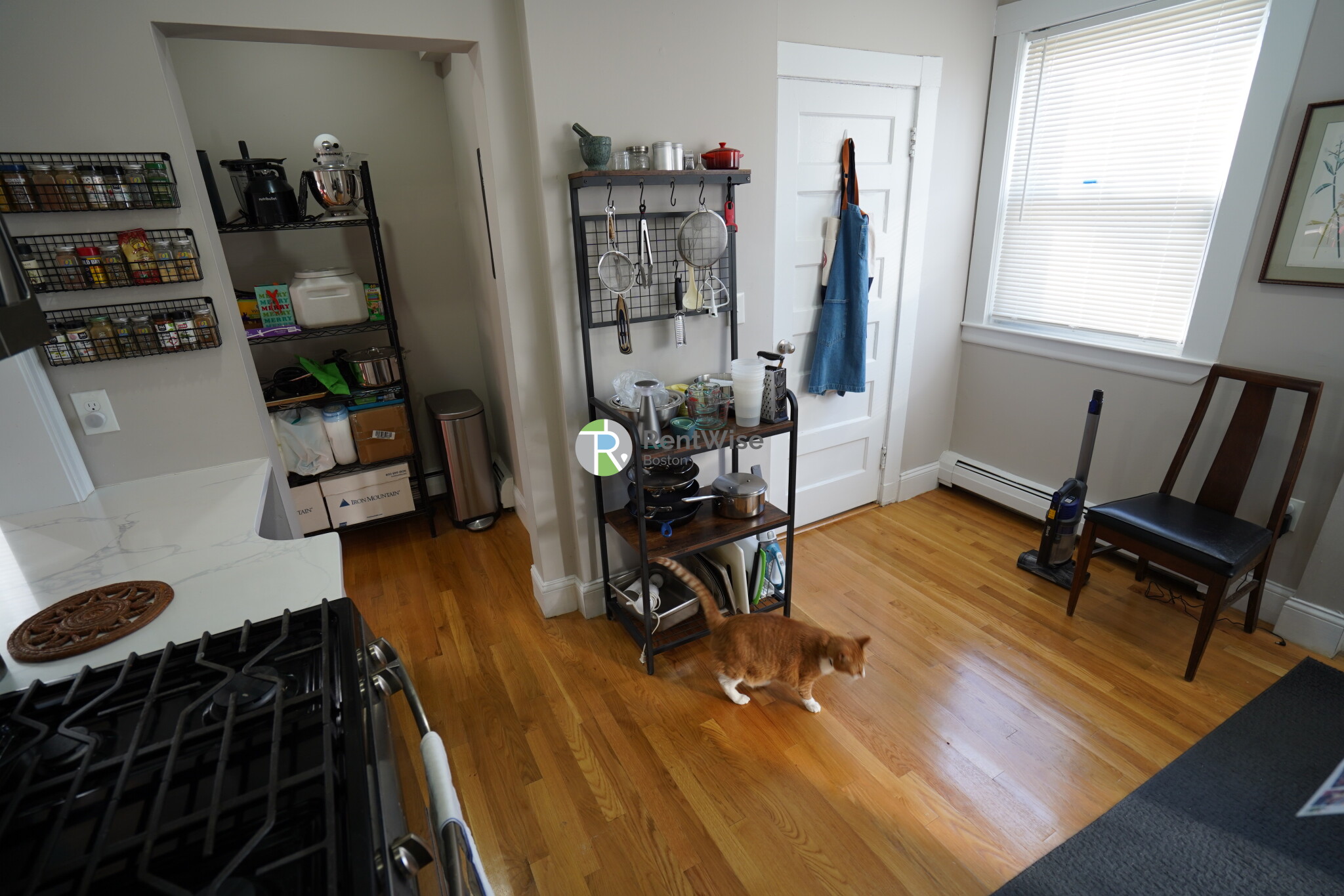 5 Ashford Ct, Allston