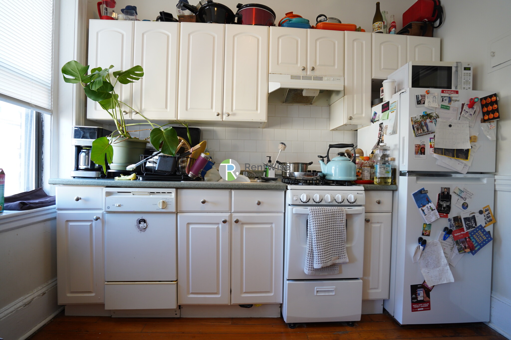 56 Gardner St, Allston