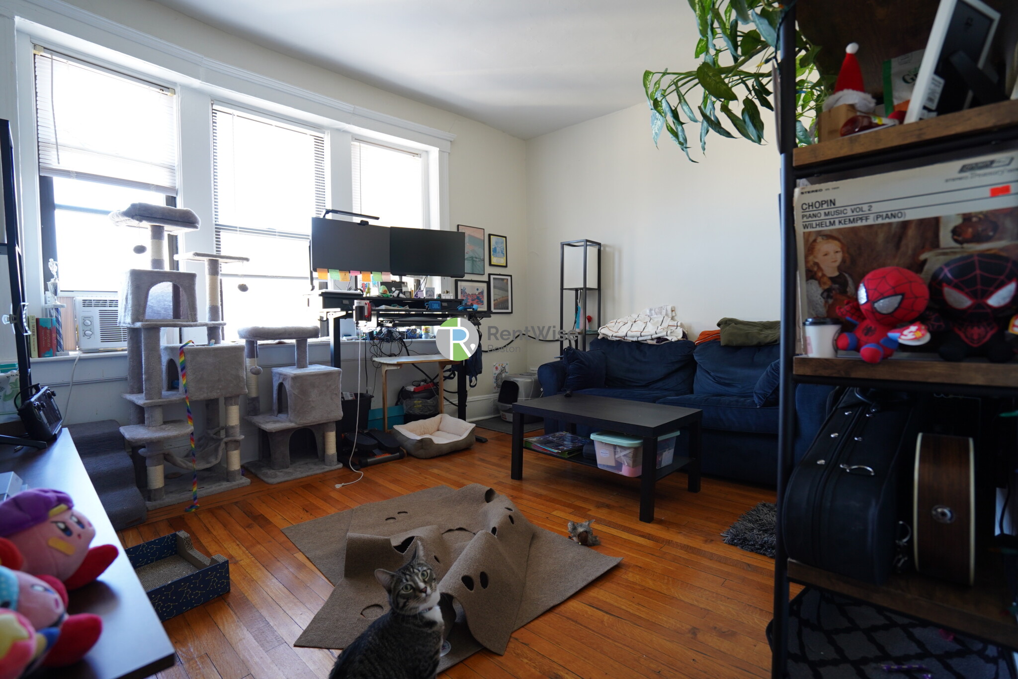 56 Gardner St, Allston