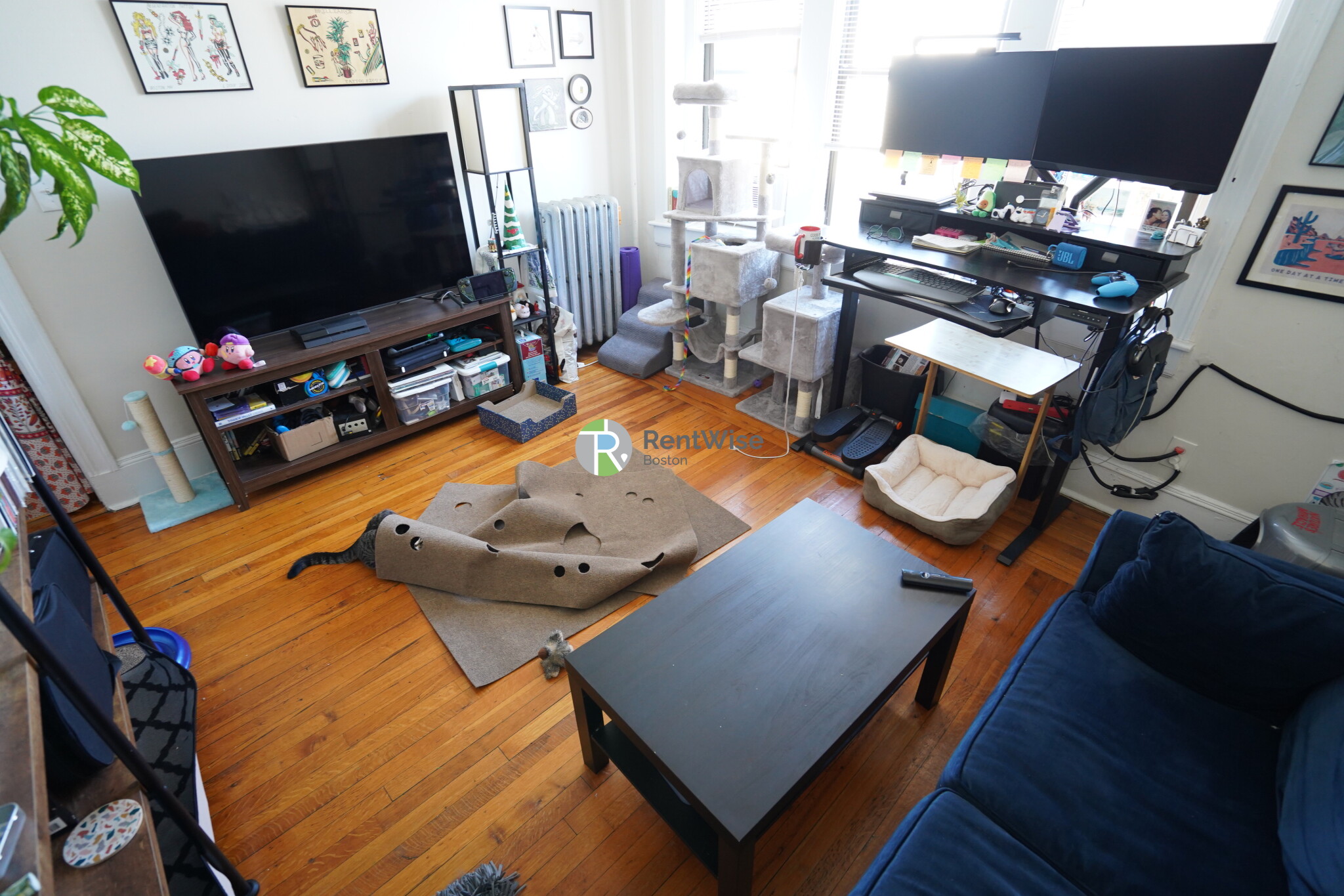 56 Gardner St, Allston