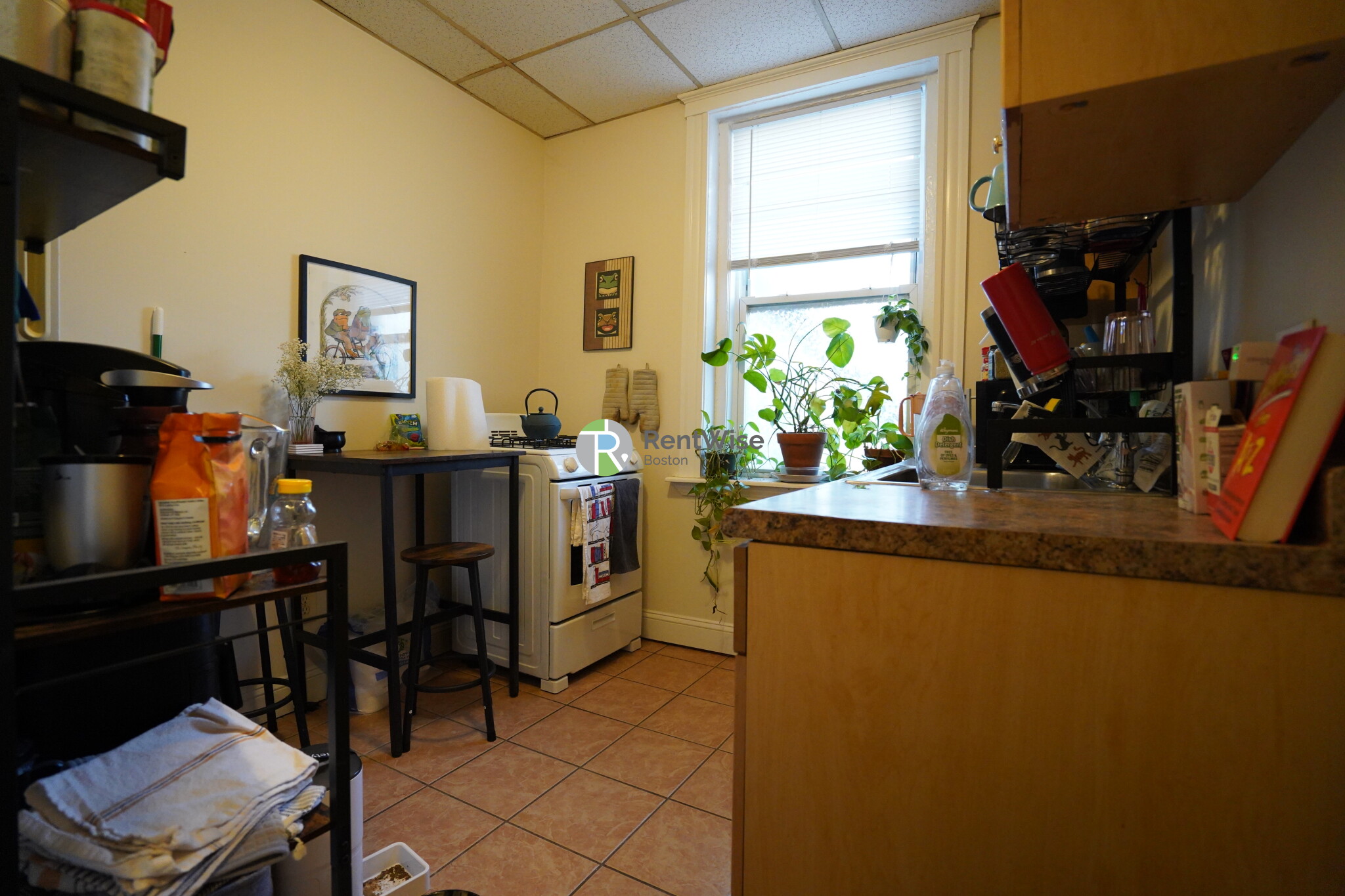 76 Gordon St, Brighton