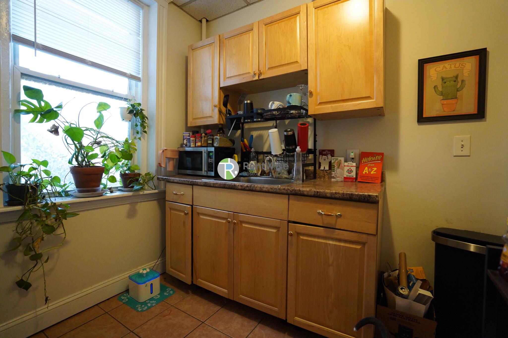 76 Gordon St, Brighton