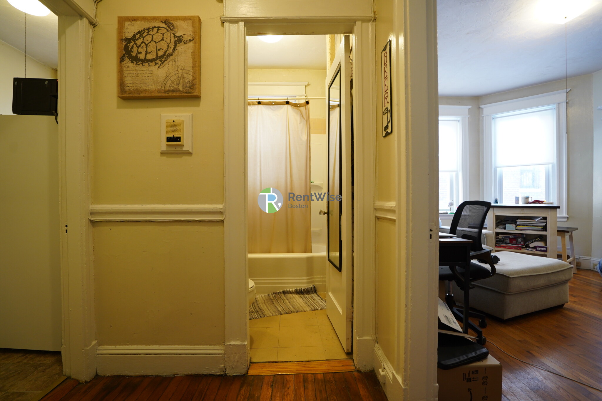 217 Kelton St, Brighton