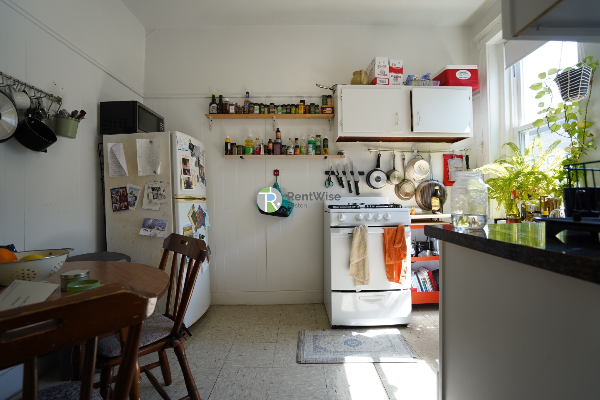 1800 Commonwealth Ave, Brighton