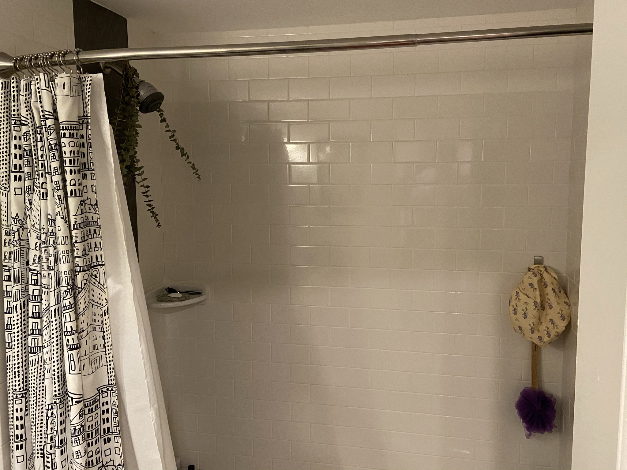 17 Bow St, Prospect Hill