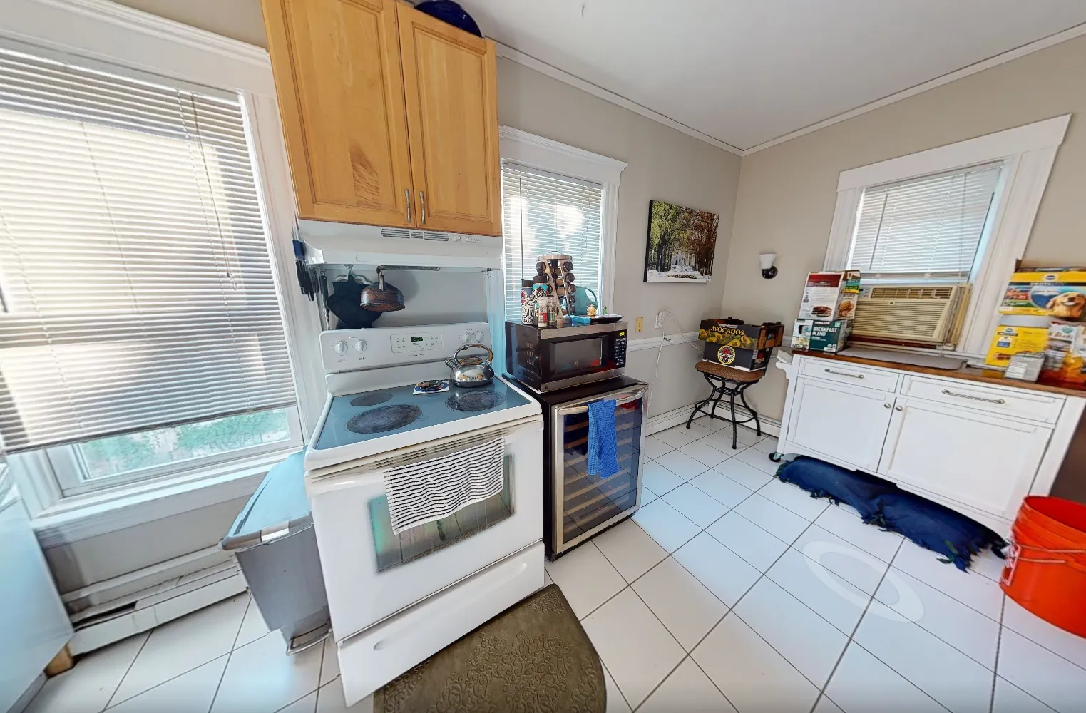 8 Chapman Pl, West Cambridge