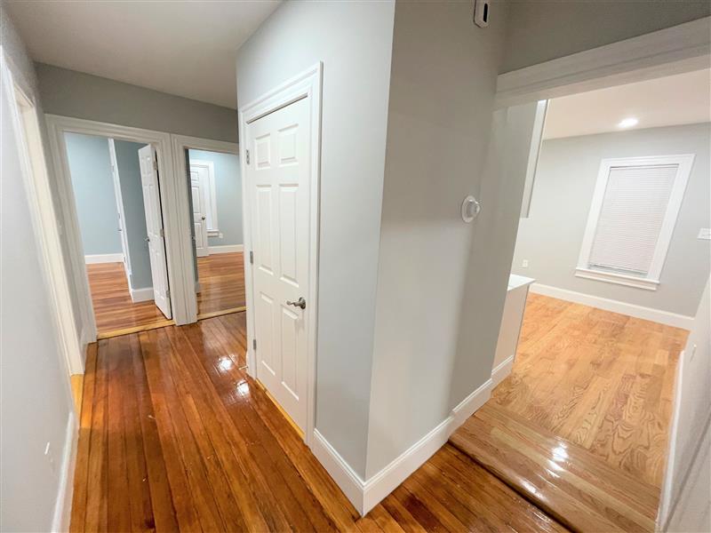 3 Mossland St, Spring Hill