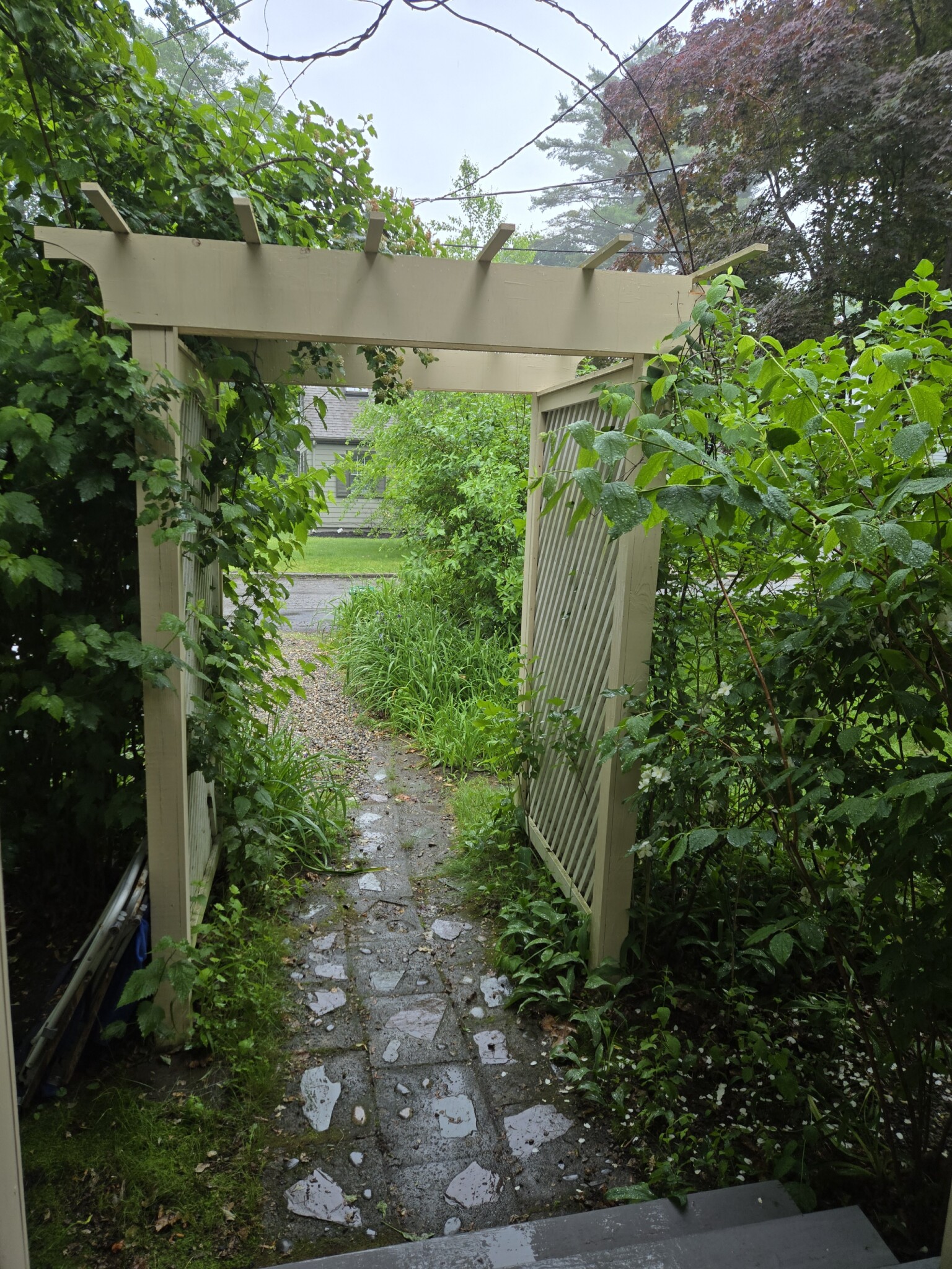 47 Clinton Pl, Newton Centre