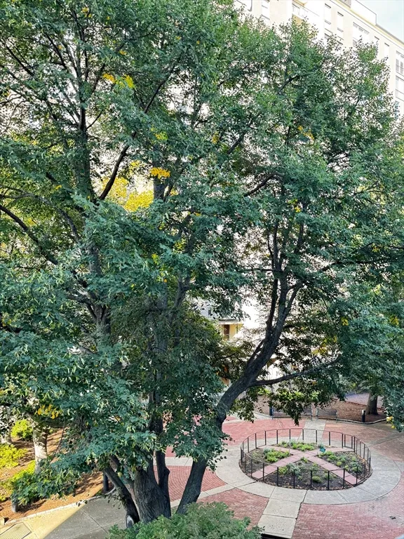 99 Pond Ave, Brookline Village