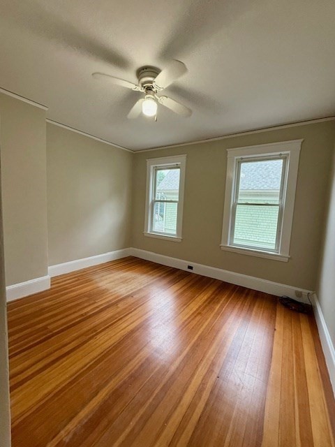 19 Summer, Wakefield